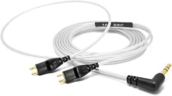 51NkSWeGrIL._AC_UF350,