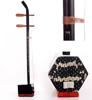 Amazon.co.jp: EIERFSKIOT 中国二胡 2弦バイオリン 伝統民俗楽器