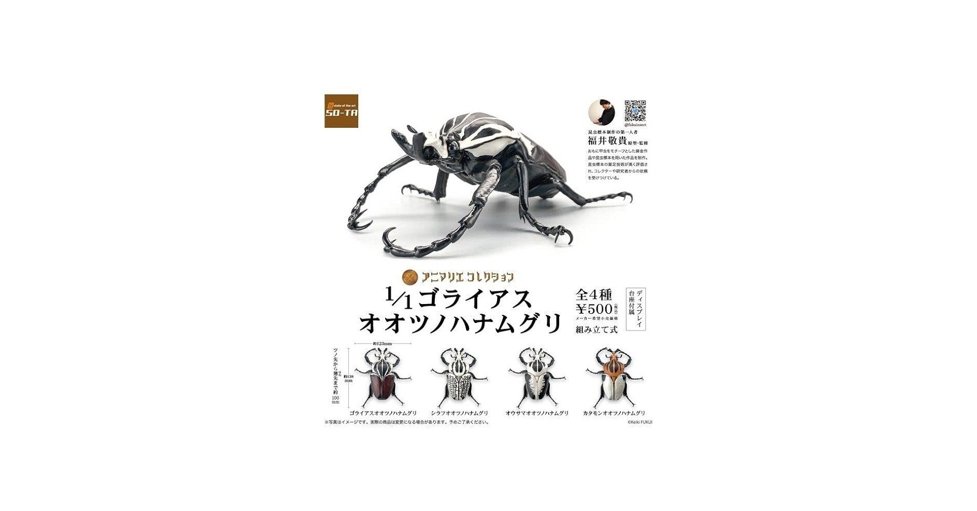 Amazon.co.jp: ゴライアスオオツノハナムグリ 4種 フルコンプ ガチャ