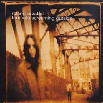 Amazon.com: Tomcats Screaming Outside: CDs & Vinyl