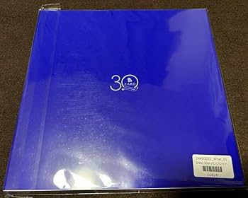 Amazon.co.jp: ZARD ザード 坂井泉水 30th パンフレット「What a