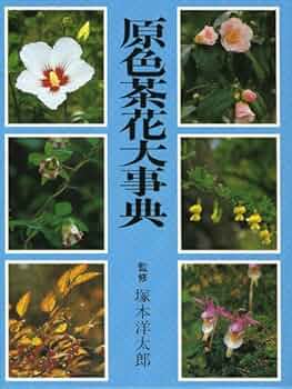 原色茶花大事典 |本 | 通販 | Amazon