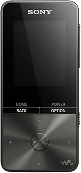 Amazon.co.jp: ソニー ウォークマン Sシリーズ 16GB NW-S315K : MP3