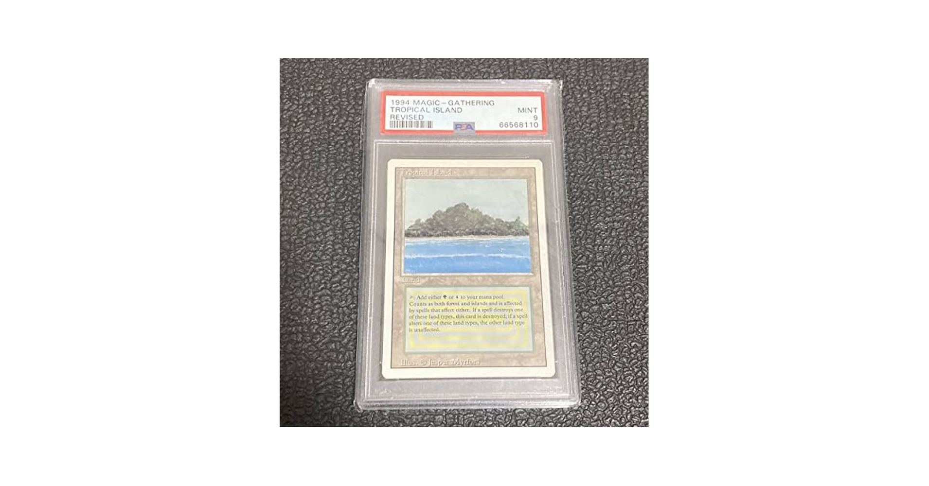 鑑定品】tropical トロピカルアイランド リバイズド Amazon.co.jp: PSA