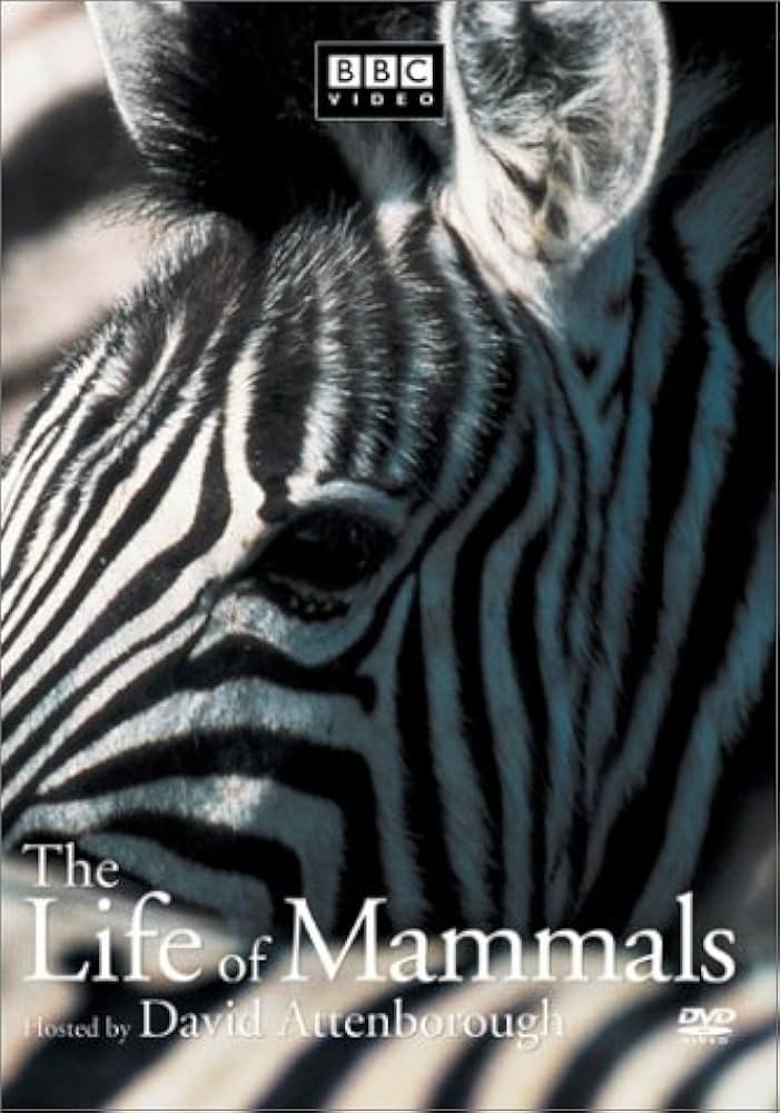 Amazon.com: The Life of Mammals, Vol. 1 [DVD] : BBC Video, David
