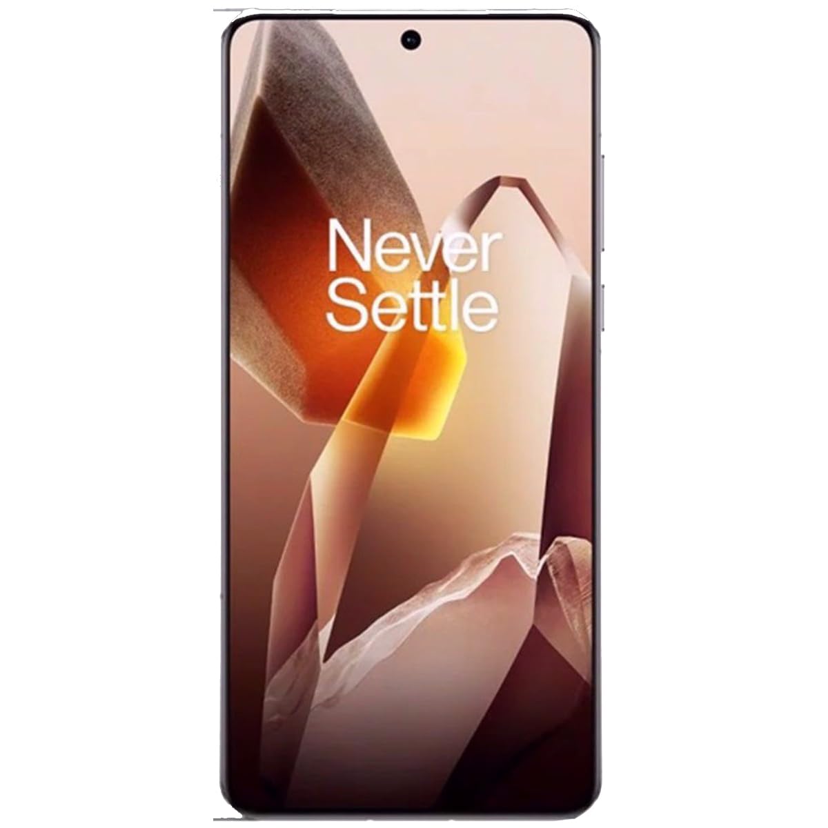 Amazon.com: OnePlus 13 PJZ110 Dual SIM 256GB ROM + 12GB RAM (GSM