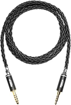 Amazon | NOBUNAGA Labs 黒龍（Kokuryu） 【4.4mm5極バランス/3.5mm4極