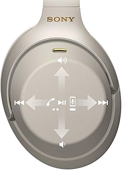 51Sz1k5ivmL._AC_UF350,