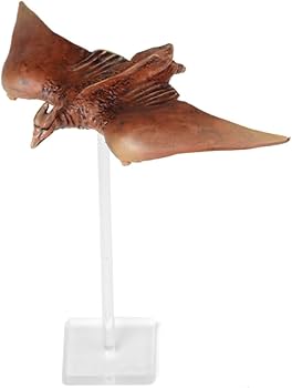 Amazon.co.jp: 特撮リボルテック019 空の大怪獣ラドン ラドン ノン