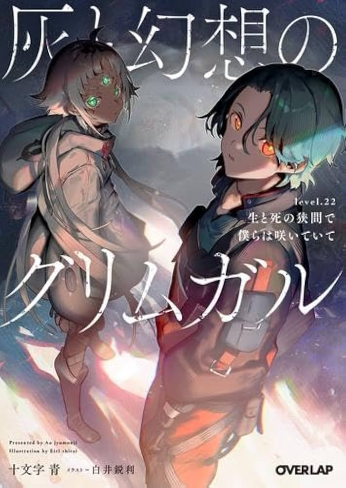 Amazon.co.jp: 灰と幻想のグリムガル ライトノベル 全24冊セット