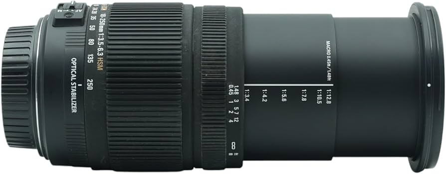 Sigma 18-250mm f/3.5-6.3 DC OS HSM IF Lens for Canon AF Digital