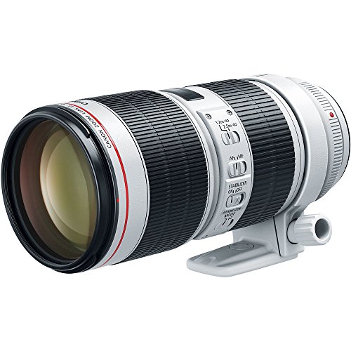 レンズ ef70-200mm f2.8」の人気商品一覧 | 安い商品を通販サイトから