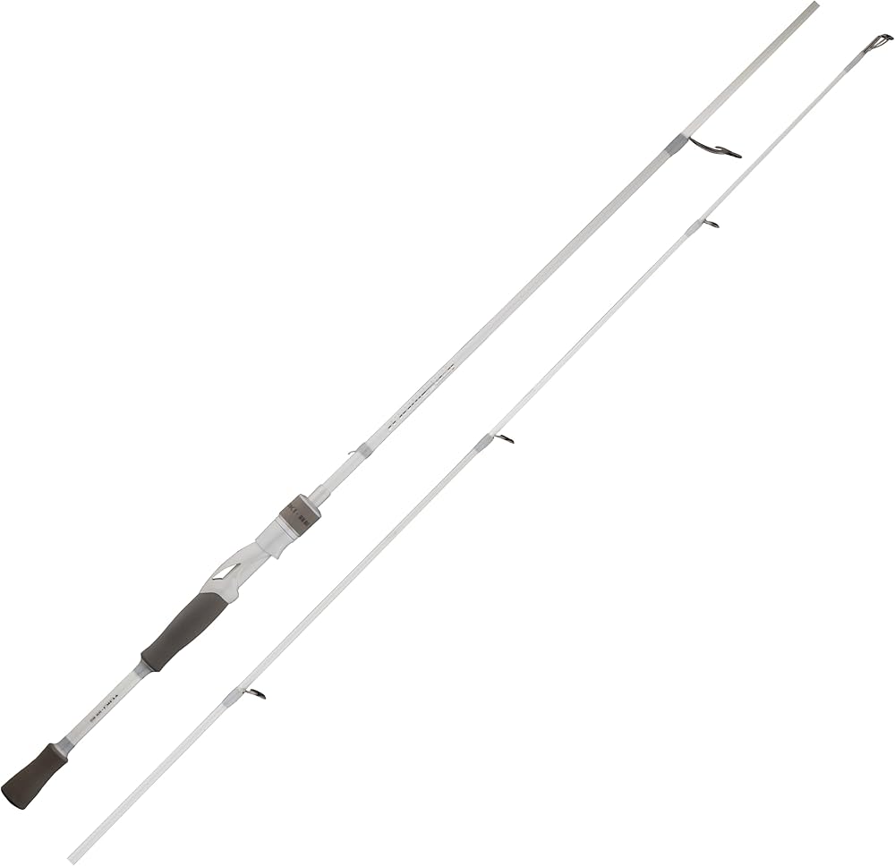 Amazon | Dananier-ICESWORD シーバスロッド ホワイト ベイトロッド