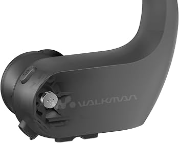 Amazon.co.jp: ソニー ヘッドホン一体型ウォークマン Wシリーズ NW