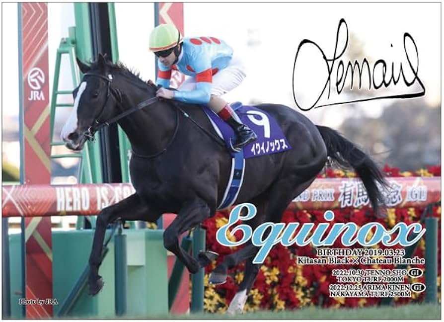 51VT-i2gTzL._AC_UF894,