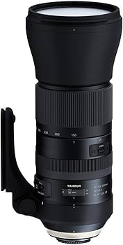 Amazon.com : Tamron SP 150-600mm F/5-6.3 Di VC USD G2 for Nikon