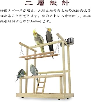 Amazon | 鳥アスレチック バードアスレチック インコ 遊び場 止まり木