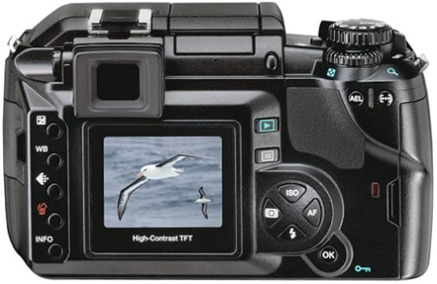 Amazon.com : OM SYSTEM OLYMPUS Evolt E300 8MP Digital SLR with