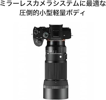 Amazon.co.jp: シグマ(Sigma) レンズ 105mm F2.8 DG DN MACRO Sony