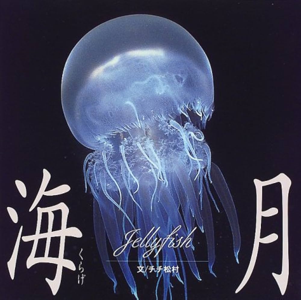 海月 | チチ松村, ネイチャープロダクション, PPS |本 | 通販 | Amazon