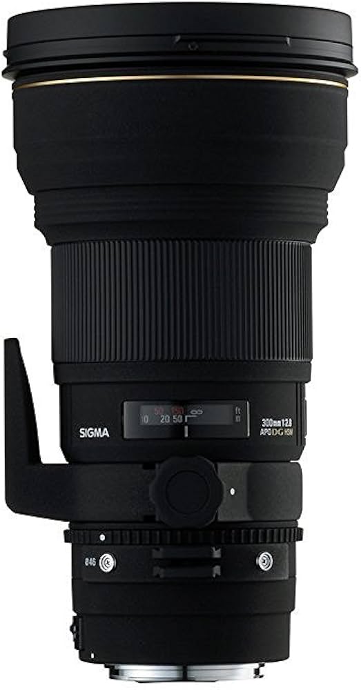 Amazon.com : Sigma 300mm f/2.8 EX DG IF HSM APO Telephoto Lens for