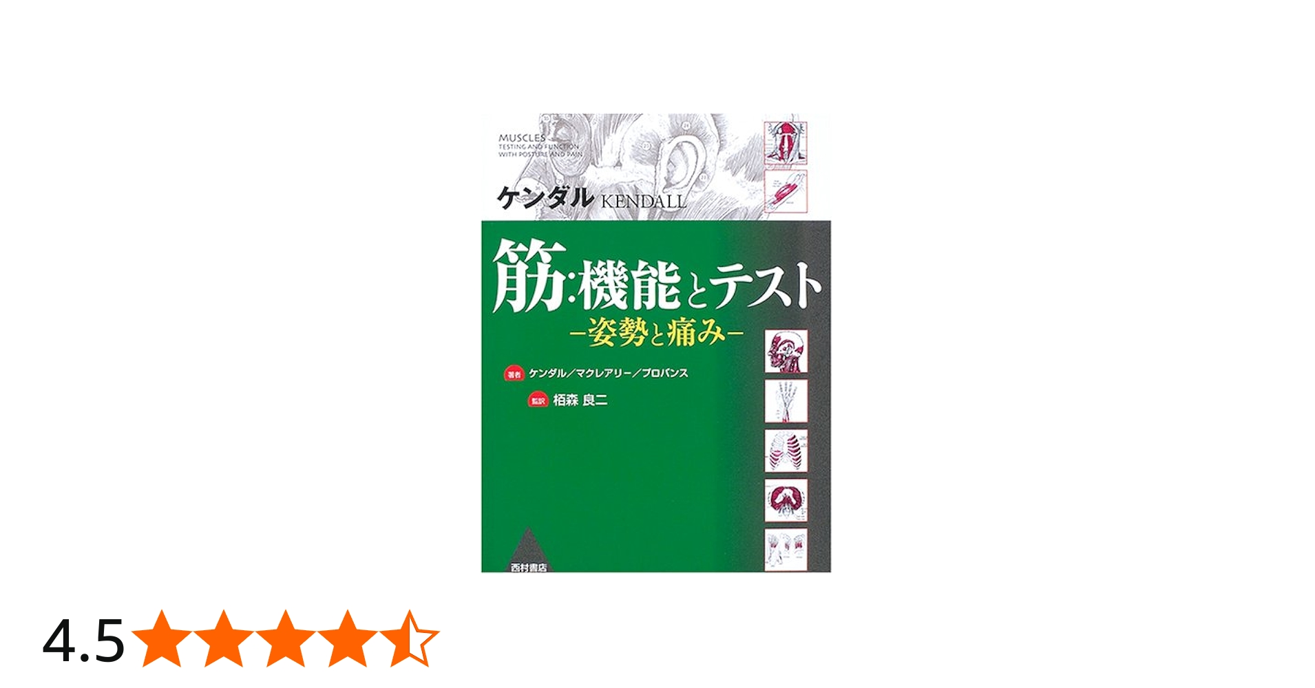 筋:機能とテスト: 姿勢と痛み | ケンダル |本 | 通販 | Amazon