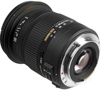 Amazon.com : Sigma 17-50mm f/2.8 EX DC OS HSM Lens for Canon EF
