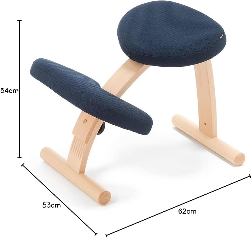 Amazon.co.jp: バランスラボ バランスイージー 通常フレーム 通常箱