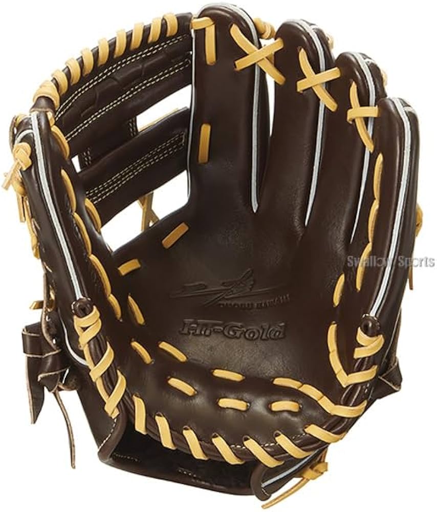 Amazon | 野球 ハイゴールド 軟式グローブ グラブ 己極 SRダーク