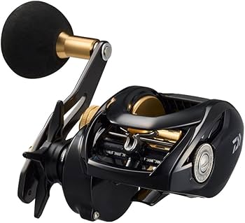 Amazon | ダイワ(DAIWA) カゴ遠投用両軸リール シーホーク TW 遠投