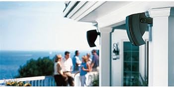 Amazon.co.jp: Bose アウトドアスピーカー 251 Environmental Outdoor