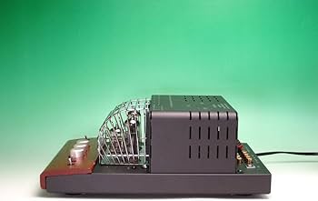 Amazon.co.jp: SOUNDWARRIOR 真空管プリメインアンプ SW-T20／城下工業