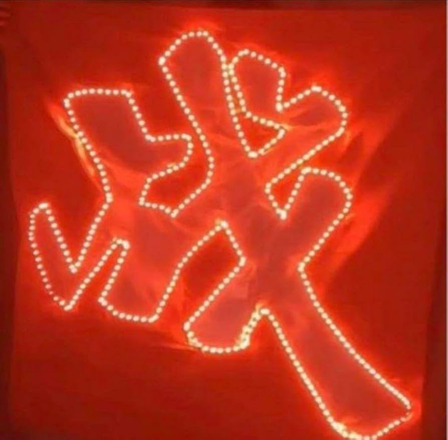 陳情令肖戦応援ツール戦字LEDライト50×50cm