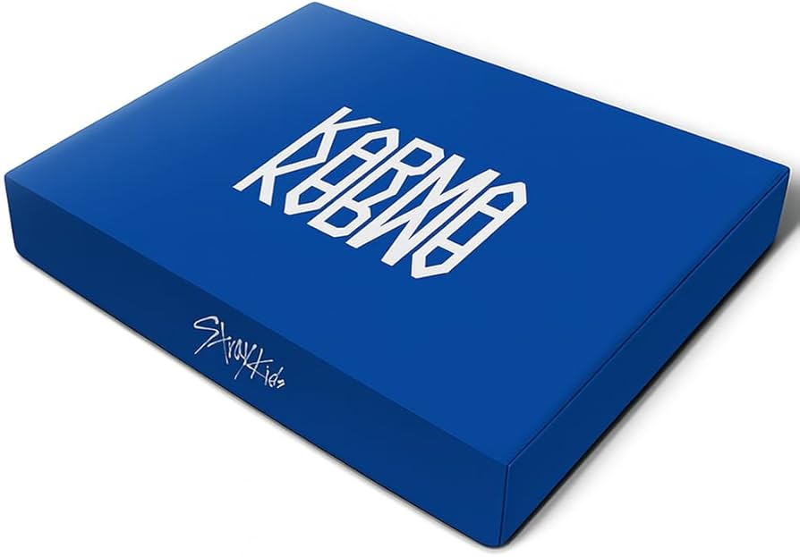 Amazon.com: Stray Kids KARMA 4th Album (CEREMONY Ver.) : Home