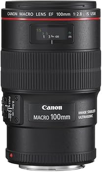 Amazon.com : Canon EF 100mm f/2.8L is USM Macro Lens for Canon