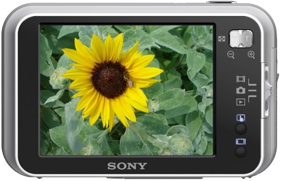 Amazon.com : Sony Cybershot DSCN1 8.1MP Digital Camera with 3x