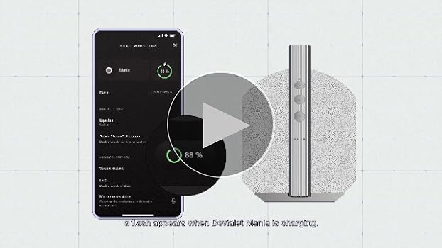 Amazon.com: Devialet - Mania Portable Smart Speaker- Black