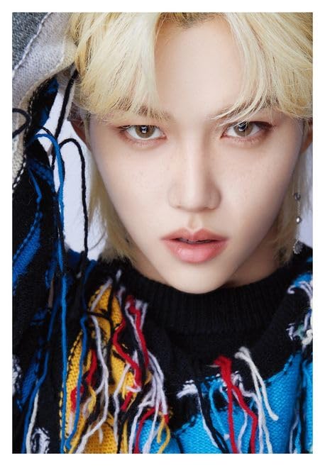 Amazon.com - DICON D'FESTA Photobook Album STRAY KIDS FELIX Version