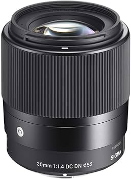 Amazon.com : Sigma 30mm F1.4 Contemporary DC DN Lens for Sony E