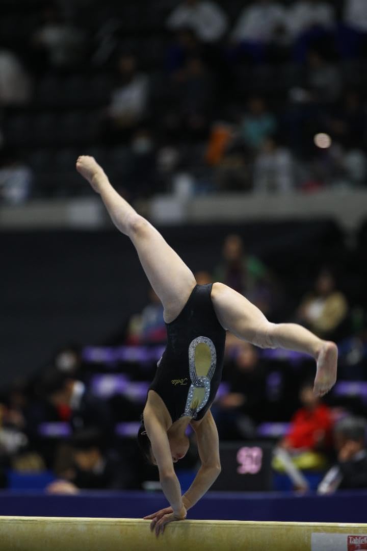 user_44b987d5様用】18年全日本個人別体操 日本女子選手画像集フル