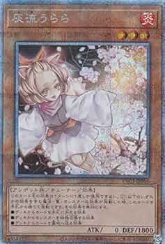 51afB88KOyL._AC_UF350,