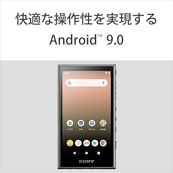 Amazon.co.jp: ソニー ウォークマン 32GB Aシリーズ NW-A106