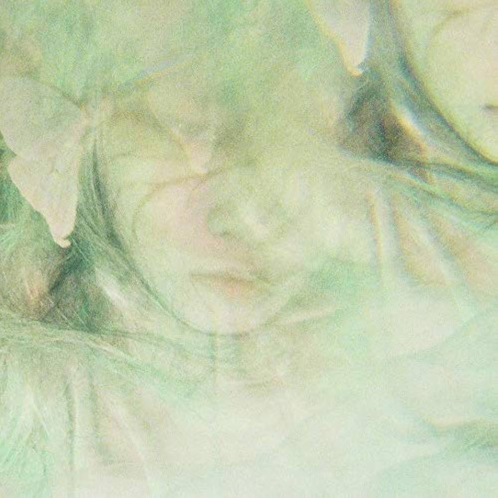 Amazon.co.jp: qp (アナログ盤) [Analog]: ミュージック