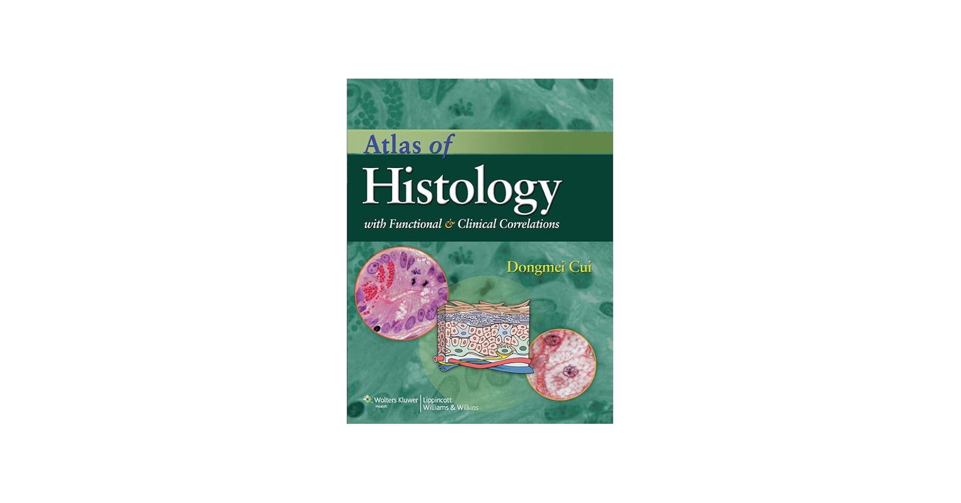 51cZtCZpPKL.jpg_BO30,255,255,