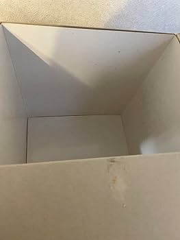 Amazon.co.jp: デビルマン ブラックバージョン 限定 でっかい貯金箱 箱