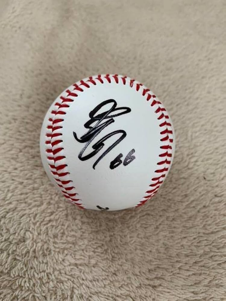 Amazon.co.jp: 万波中正 直筆サインボール : スポーツ＆アウトドア