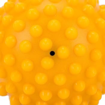 Amazon.co.jp: [ ギムニク ] 触覚ボール 10 Gymnic ソフトタイプ 10cm