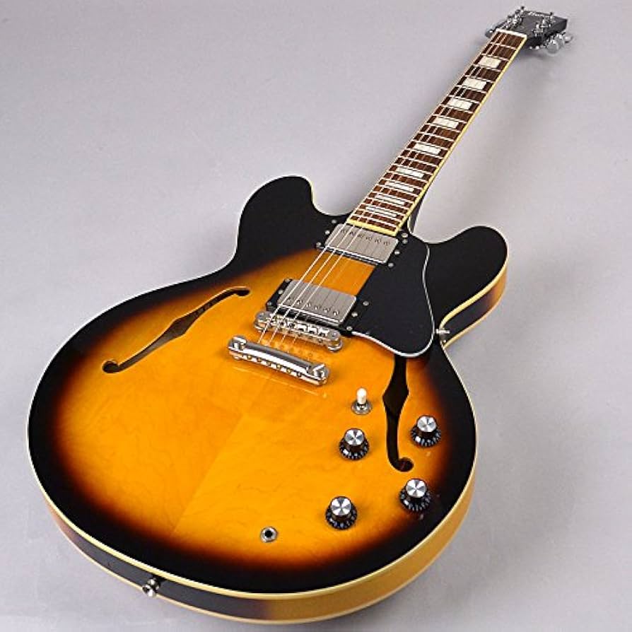 Amazon | Burny SRSA65 BS エレキギター セミアコ ES-335タイプ ホロウ