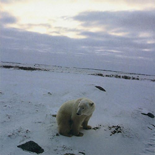 Amazon MusicでCutemenのCOVERS & MELLOW TUNESを再生する