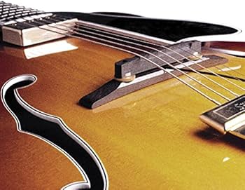 Amazon | FISHMAN Electric /Acoustic Archtop Guitar Pickup アーチ